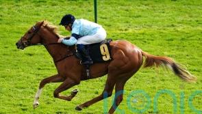 Soprano aiming to hit high note in Star Stakes