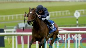 Ylang Ylang bids to cement tag as Guineas favourite at Leopardstown