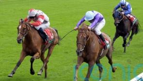 Goodwood specialist Quinn recalls Persian Punch’s glory days