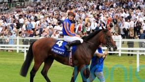O’Brien taken aback by speed of Paddington’s improvement