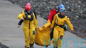 Two northern bottlenose whales stranded off Fife coast