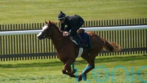 Fractured fetlock rules Dubai Mile out for rest of season