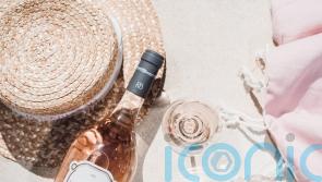 8 summer rosés to up your rosé game