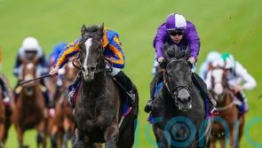Derby duo highlight 11 contenders in top-class King George