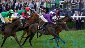 Baradar sparks International celebration at Ascot