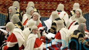 Peerage role not to be taken lightly, says Johnson ally