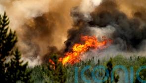 Firefighter killed while tackling wildfire in British Columbia