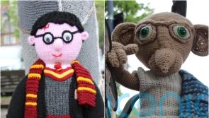 Knitted and crocheted Harry Potter characters add magic touch to Shropshire town
