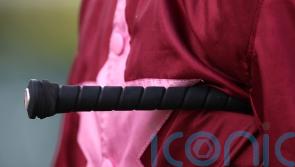 Whip rules tweaked once more by BHA