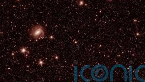 Space telescope Euclid captures glittering galaxies and stars in first images