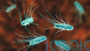 Adventure farm park closes after E.coli outbreak