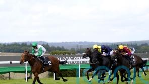 Haatem delivers Vintage victory for Hannon