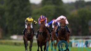 Paddington all set to produce once again in Sussex Stakes