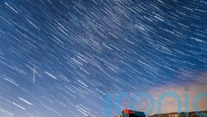 Perseid meteor shower to light up the night sky