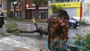 More than 30 injured as powerful typhoon pounds Japan’s Okinawa