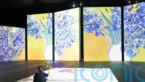 Babies as young as four months have taste in fine art, study shows