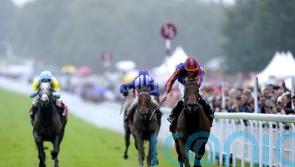 Paddington has all the answers in Sussex Stakes