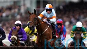 Ash Tree Meadow powers to Galway Plate glory