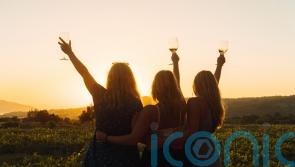 Taste of Spain: 7 top drops to sip in the sunshine
