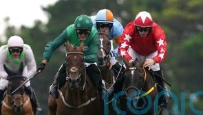 Zarak The Brave lives up to his name in Galway Hurdle