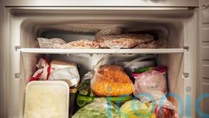 Surprising foods you didn’t know you could freeze – and how they could help you save money