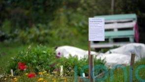 Duke’s allotment management was ‘dereliction by design’, inquiry told