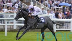 Hills expecting Orazio to make his mark in Stewards’ Cup