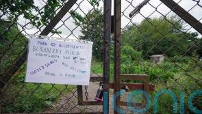 Duke could close allotments if homes proposal fails, inquiry told
