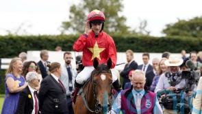 Highfield Princess hits the heights with smooth Goodwood success