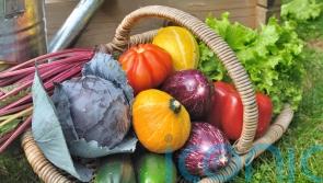 Tips and tricks to preserve your harvest