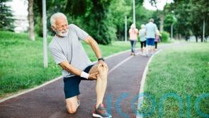 Study reveals how muscle cells deteriorate with age, hampering injury recovery