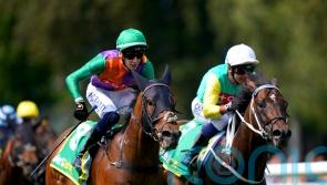 Quinault team eyeing Shergar Cup for seven-timer bid