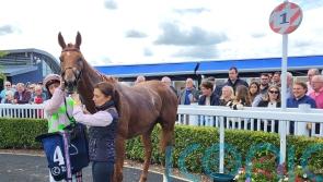 Vauban coasts home to bag Ballyroan honours