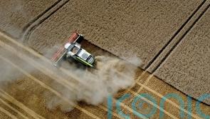 Weather in coming weeks ‘absolutely crucial’ to harvest, union leader warns