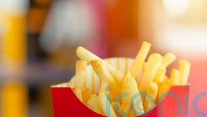 Brain’s appetite control centre different in overweight or obese people – study