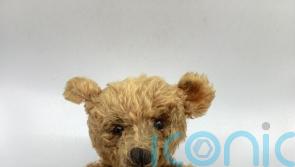 118-year-old teddy bear bought at car boot sale expected to sell for thousands