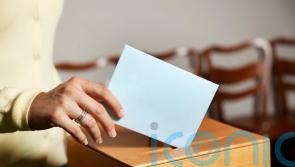 Russia among ‘usual suspects’ after elections watchdog hack, expert suggests