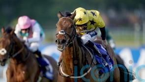 Goldie fears Euchen Glen will struggle to make Ebor cut
