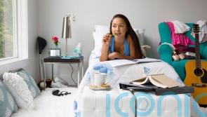 6 survival tips for parents of live-at-home university students