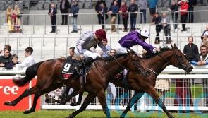 Hopes high as Bucanero Fuerte aims to plunder Phoenix prize