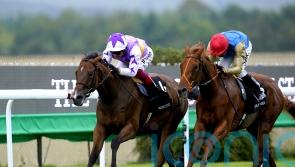 Beckett has Kinross and Bluestocking primed for York action