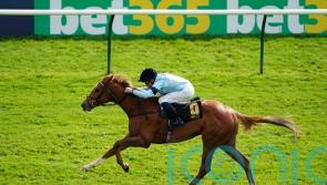 Soprano tries seven furlongs again in Sweet Solera Stakes