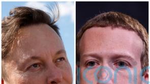 Mark Zuckerberg plays down Elon Musk’s cage fight details