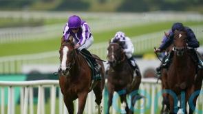 Diego Velazquez makes striking Curragh debut