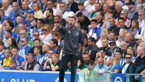 Rob Edwards admits Luton must make a rapid improvement after Brighton defeat