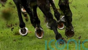 Simca Mille stakes Arc claim with German Group One glory