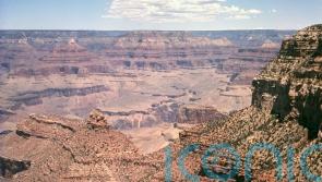 Boy, 13, survives 100ft fall at Grand Canyon