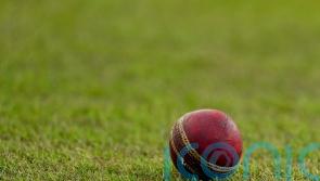 Man charged over alleged racial abuse at cricket match