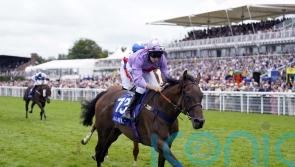 Goodwood winner Temporize being pointed towards Cesarewitch goal