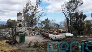 99 confirmed dead in Maui wildfires but governor warns there could be many more